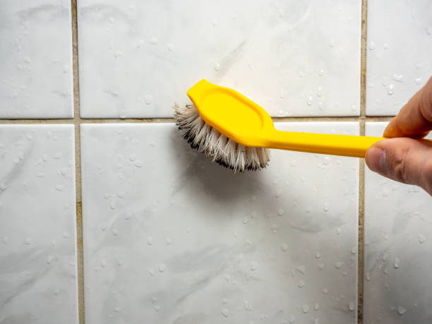 Best Emergency Mold Remediation in Bridgeport, MI